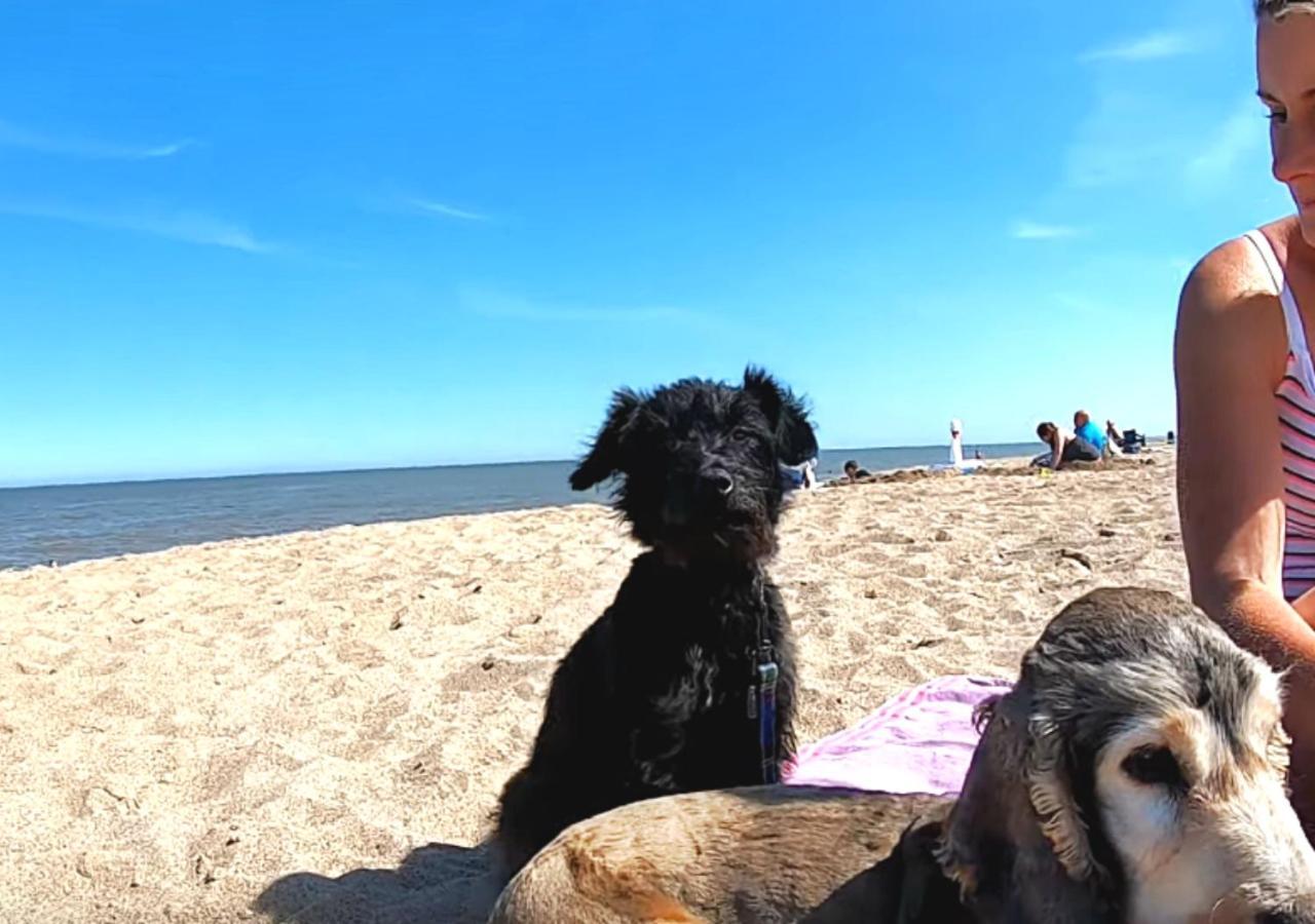 Romantic Lakeside Cottage By The Beach! With Super Cosy Log Burner! The Perfect Escape To Your Home From Home By The Sea! So Relaxing - You Won'T Want To Leave! Pet Friendly! Mablethorpe Eksteriør billede