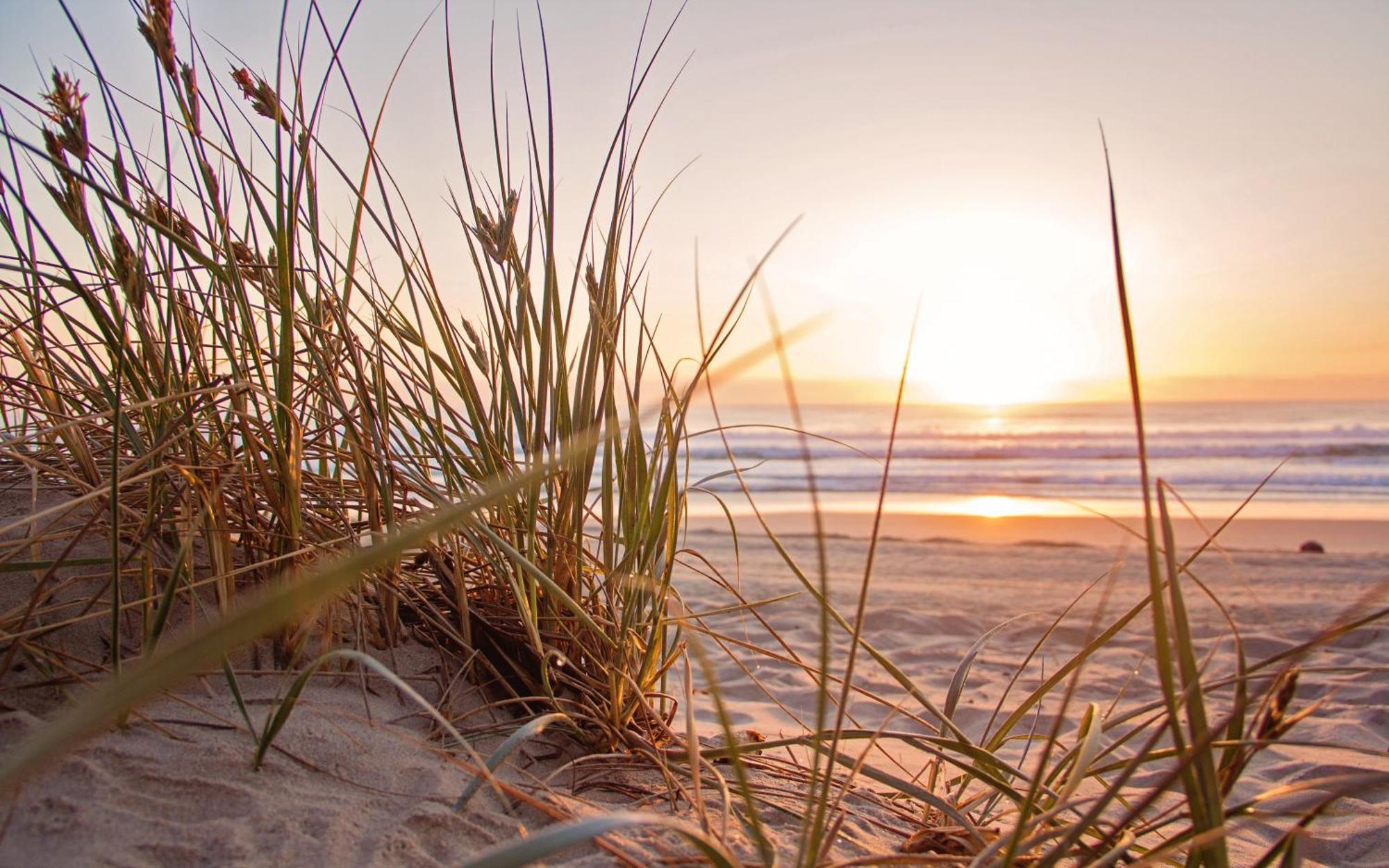 Romantic Lakeside Cottage By The Beach! With Super Cosy Log Burner! The Perfect Escape To Your Home From Home By The Sea! So Relaxing - You Won'T Want To Leave! Pet Friendly! Mablethorpe Eksteriør billede