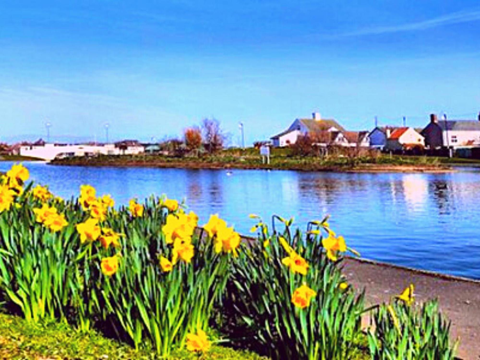 Romantic Lakeside Cottage By The Beach! With Super Cosy Log Burner! The Perfect Escape To Your Home From Home By The Sea! So Relaxing - You Won'T Want To Leave! Pet Friendly! Mablethorpe Eksteriør billede